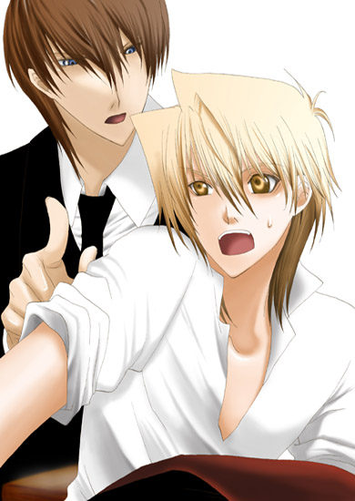 �C���C�����������B�C���C���_��(����)